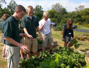 Garden Harvest