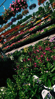 spring break picture