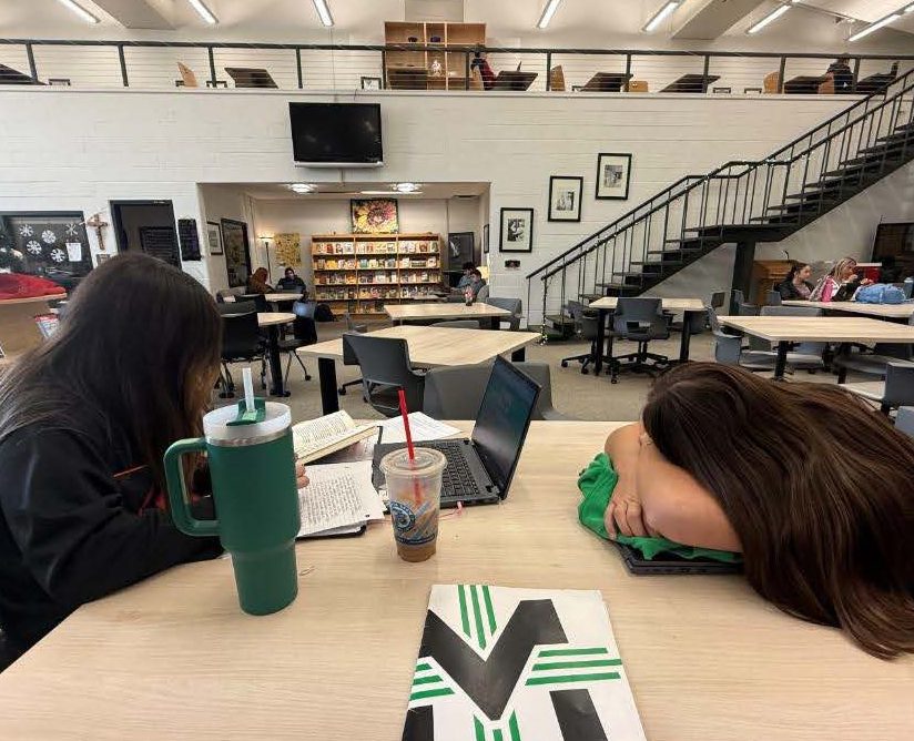 Homework or Hangout? How students use study hall – The McNicholas Milestone